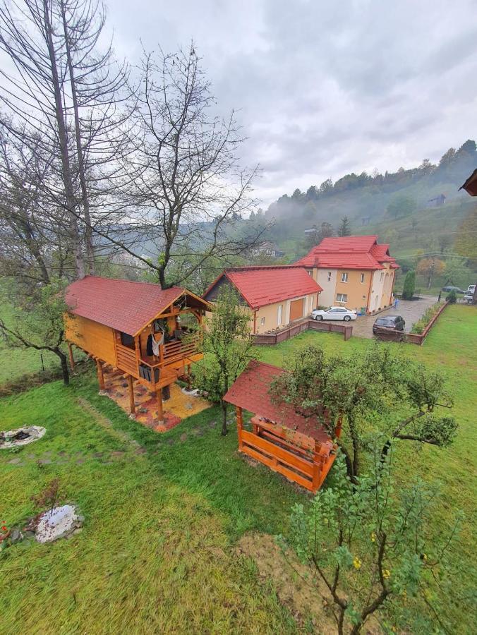 Complex Căsuțe Căsuța din Deal Moisei Villa Exterior foto